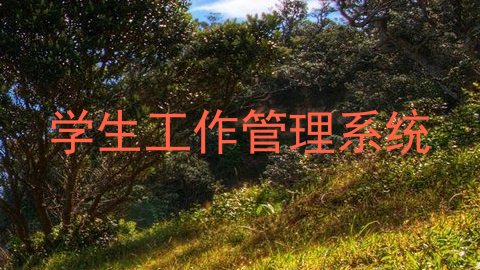 学生工作管理系统