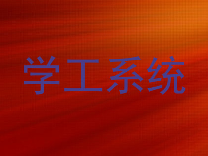 学工系统