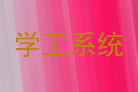 学工系统