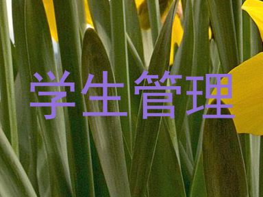 学生管理