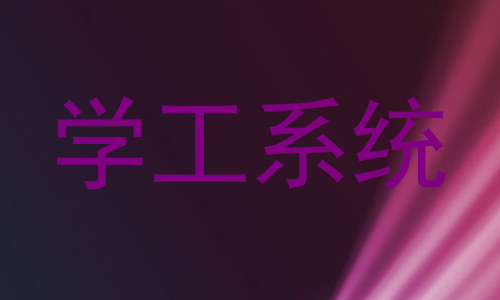 学工系统