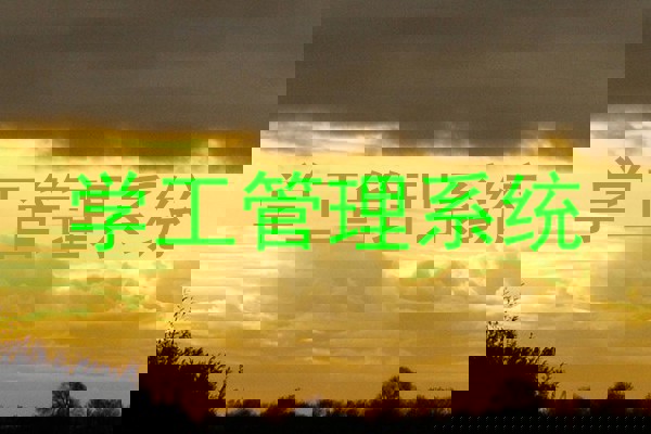 学工管理系统