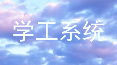 学工系统
