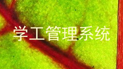 学工管理系统