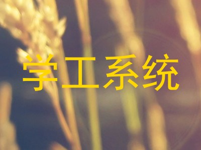 学工系统