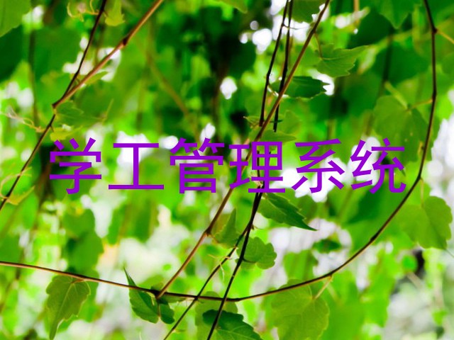 学工管理系统
