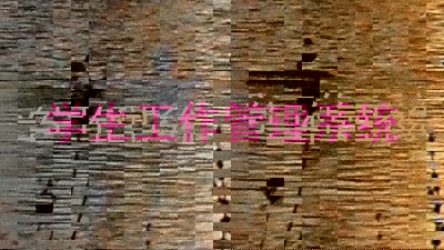学生工作管理系统