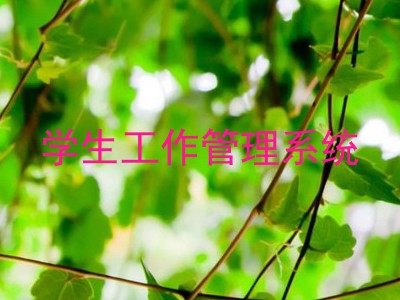 学生工作管理系统