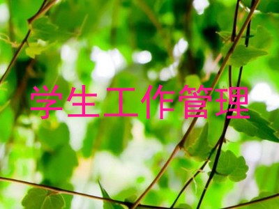 学生工作管理