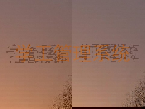 学工管理系统