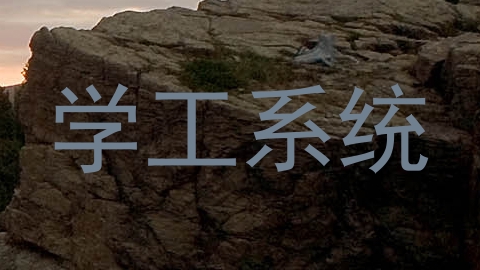 学工系统
