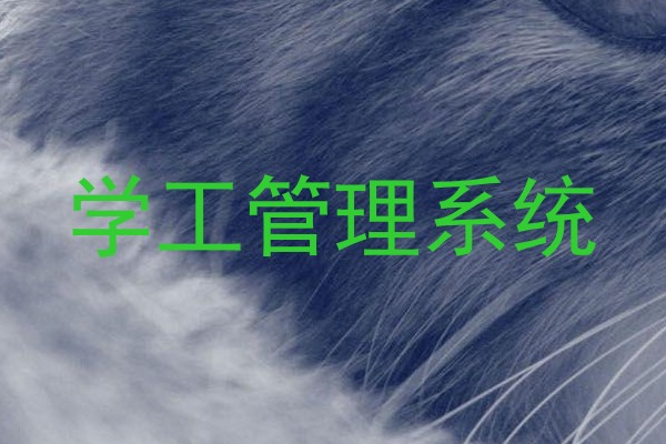 学工管理系统