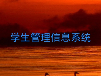 学生管理信息系统