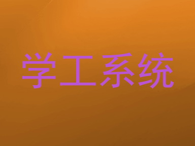 学工系统