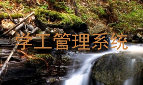 学工管理系统