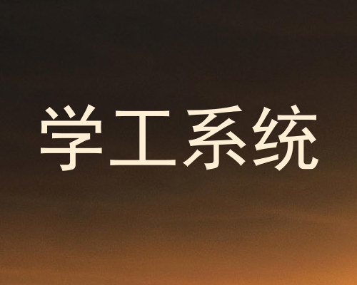 学工系统