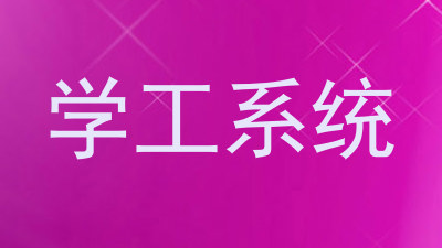 学工系统