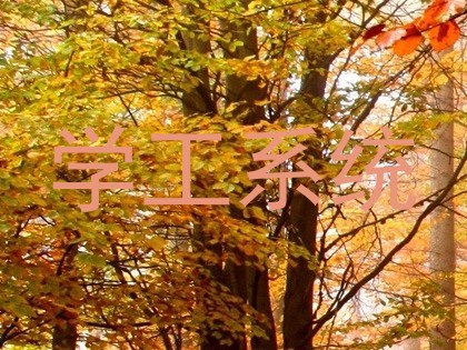 学工系统