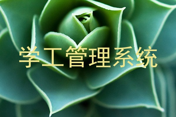 学工管理系统