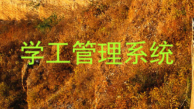 学工管理系统