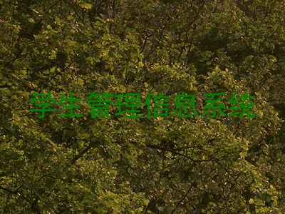 学生管理信息系统