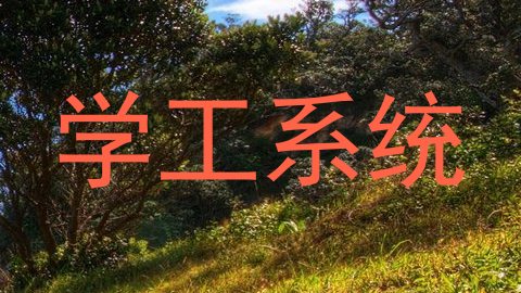 学工系统