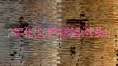 学生工作管理系统