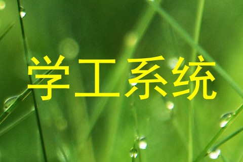 学工系统