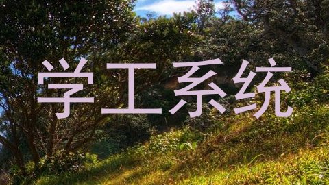 学工系统
