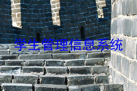 学生管理信息系统