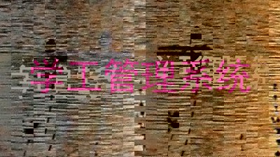 学工管理系统