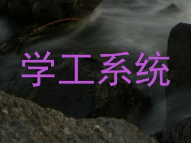 学工系统