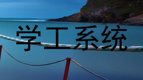 学工系统