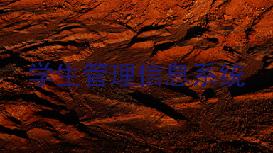 学生管理信息系统