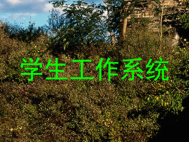 学生工作系统