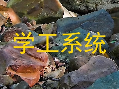 学工系统