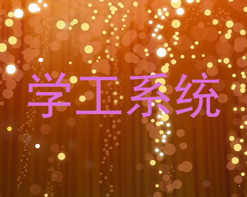 学工系统