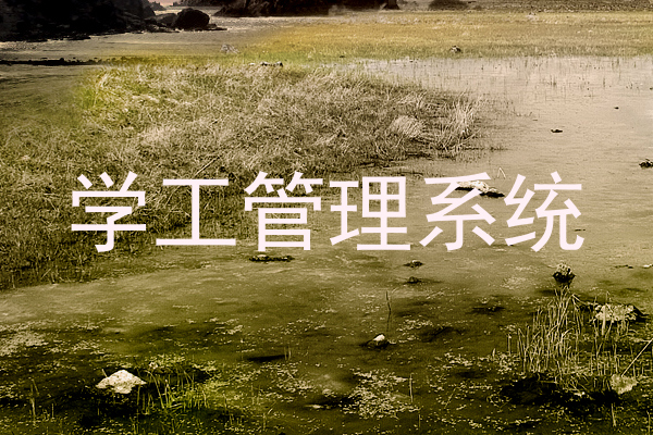 学工管理系统