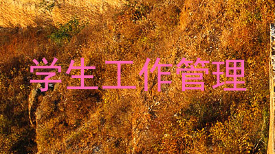 学生工作管理
