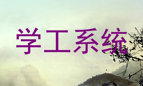 学工系统