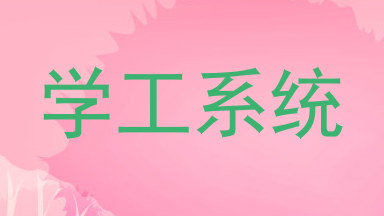 学工系统