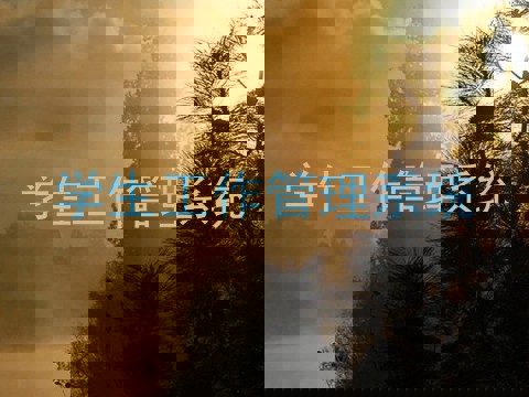 学生工作管理系统