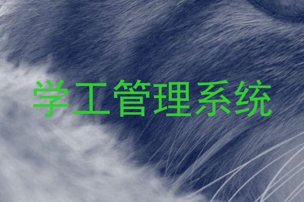学工管理系统