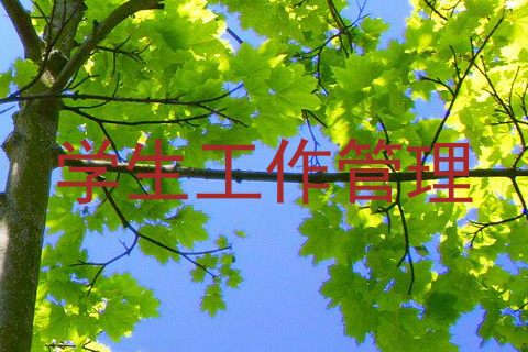 学生工作管理