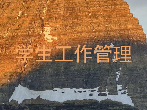 学生工作管理