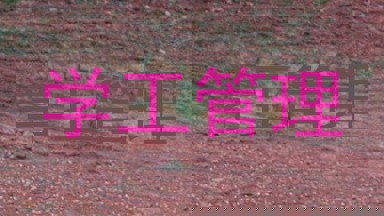 学工管理