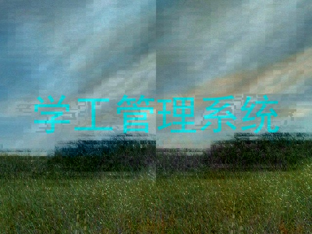 学工管理系统