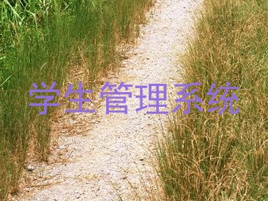 学生管理系统