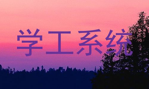 学工系统