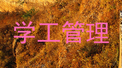 学工管理